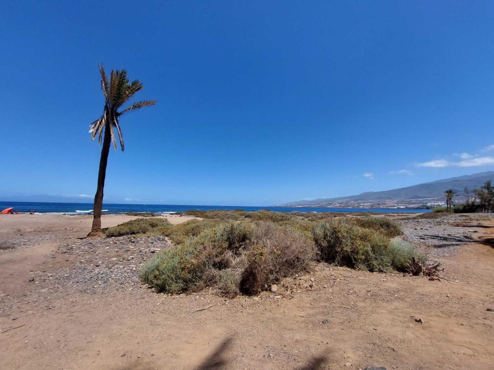 Apartamento De Un Dormitorio En Mareverde E14 Costa Adeje  Extérieur photo